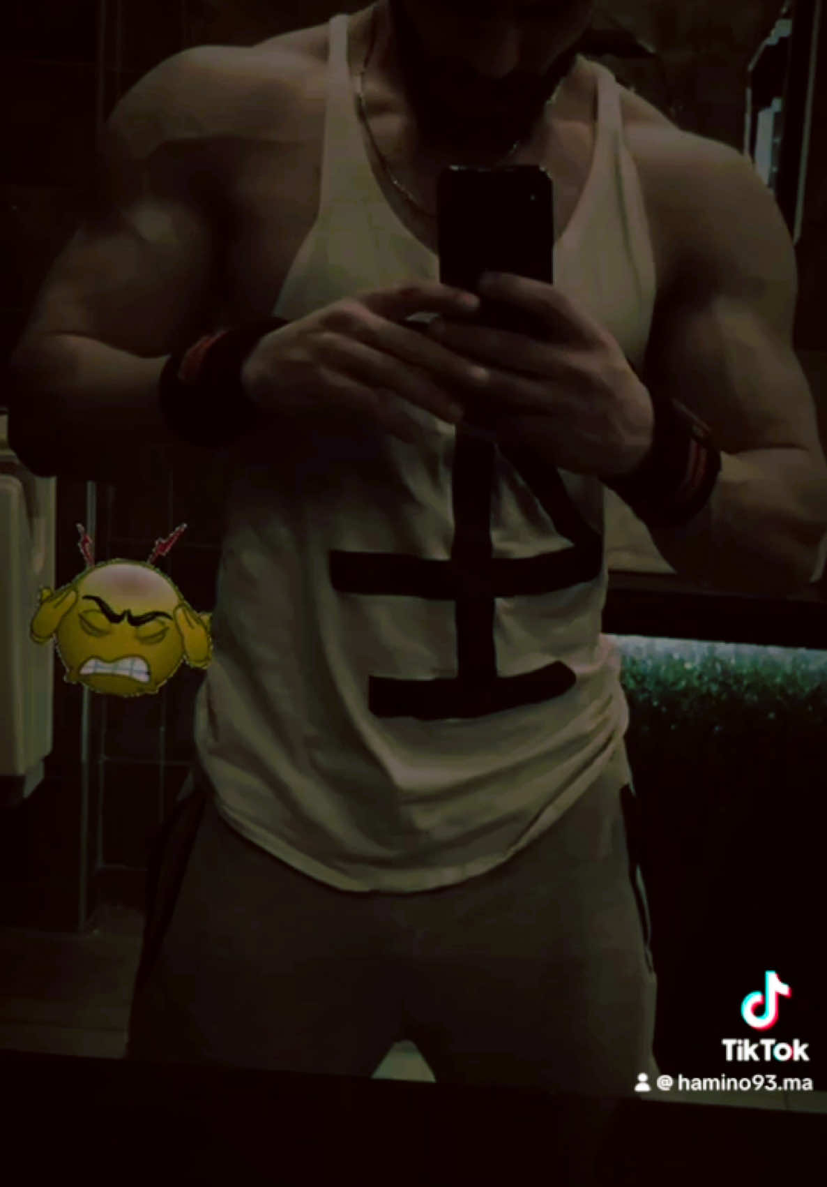 @Hamino.93