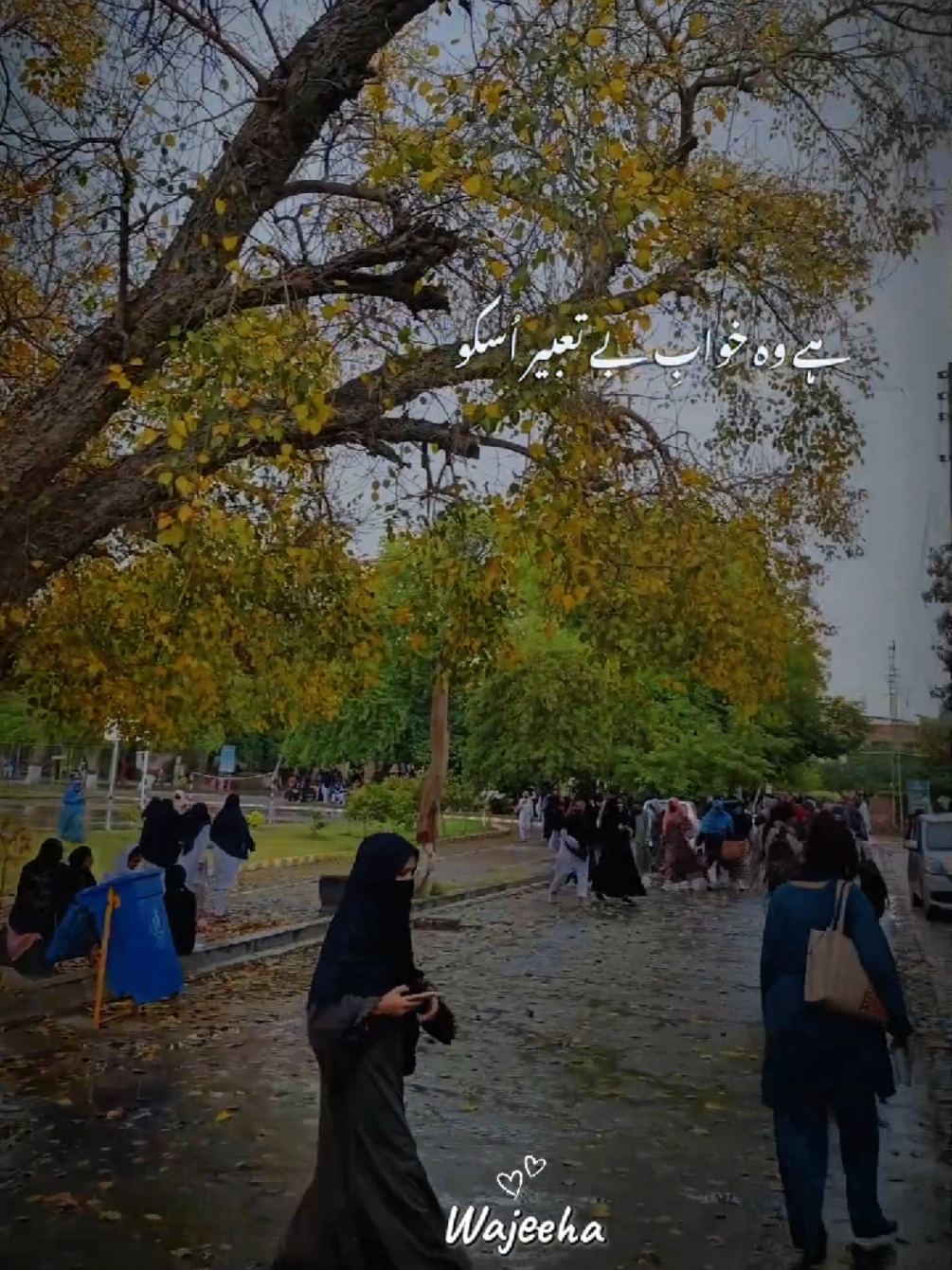 @Wajeeha Yaseen