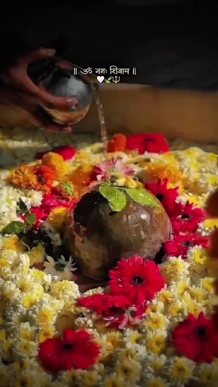 @DP THAKUR
