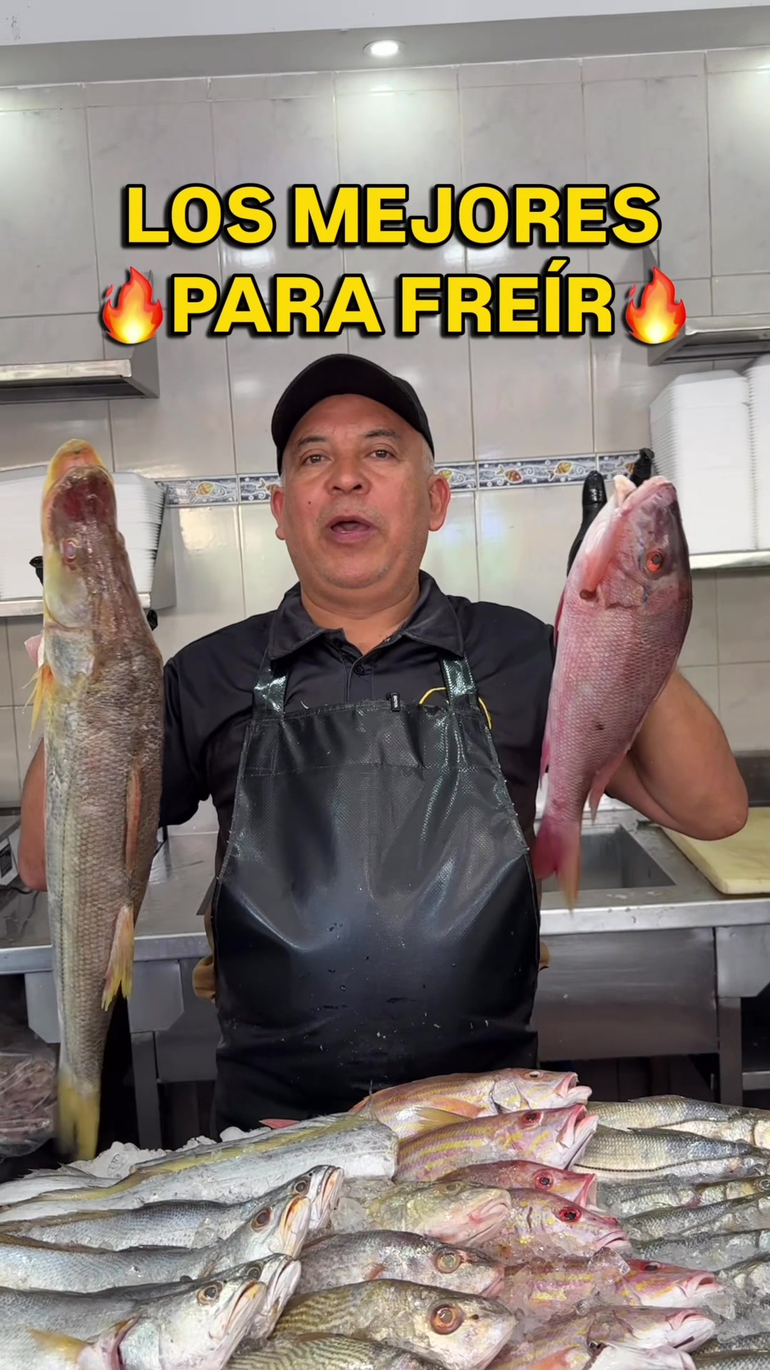 @Lamansiondelpescado