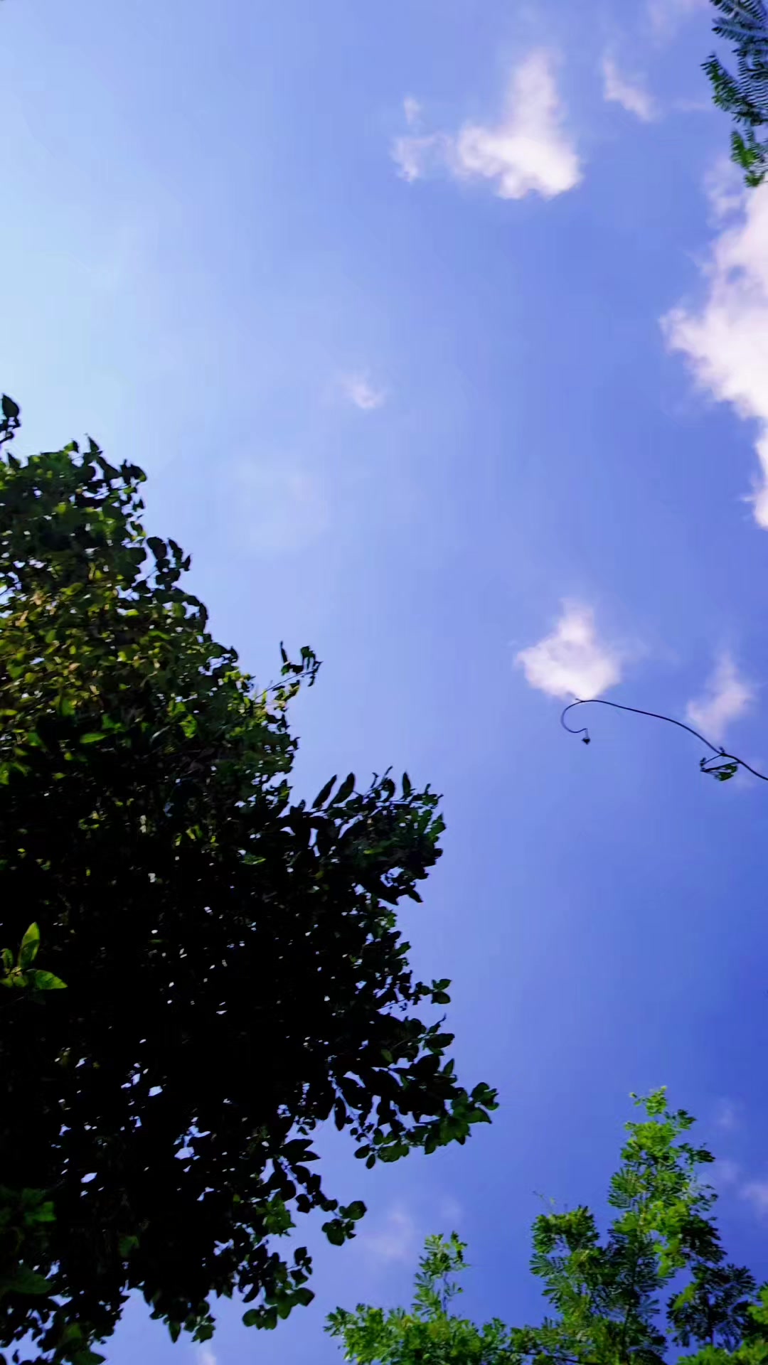 @🦋⃟ALAM✮⃝ALAM🦋⃟💞
