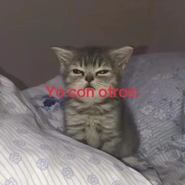 @yramyoliver