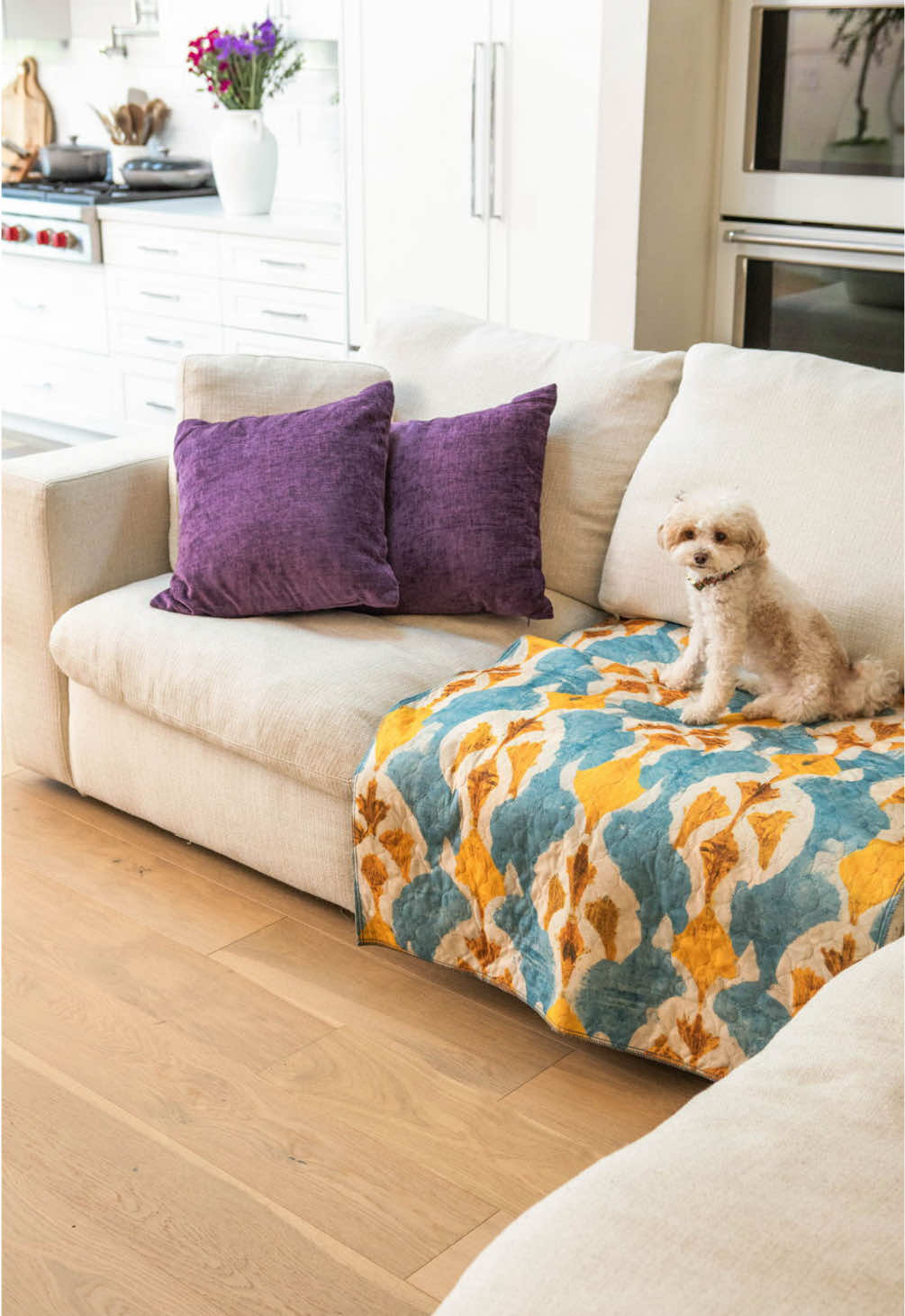 @Lovewag Pets