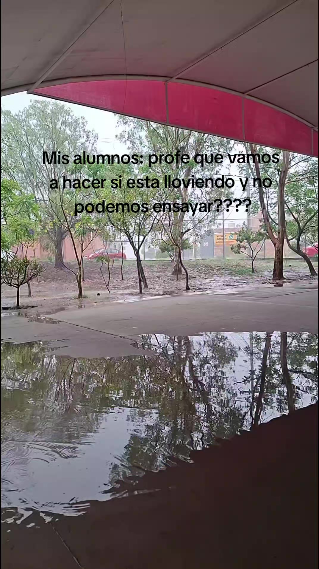 @Gemelosfolk