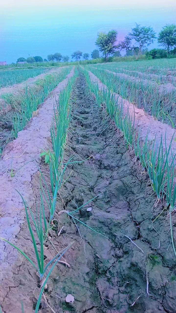 @zawar    Fayaz Ali Zardari