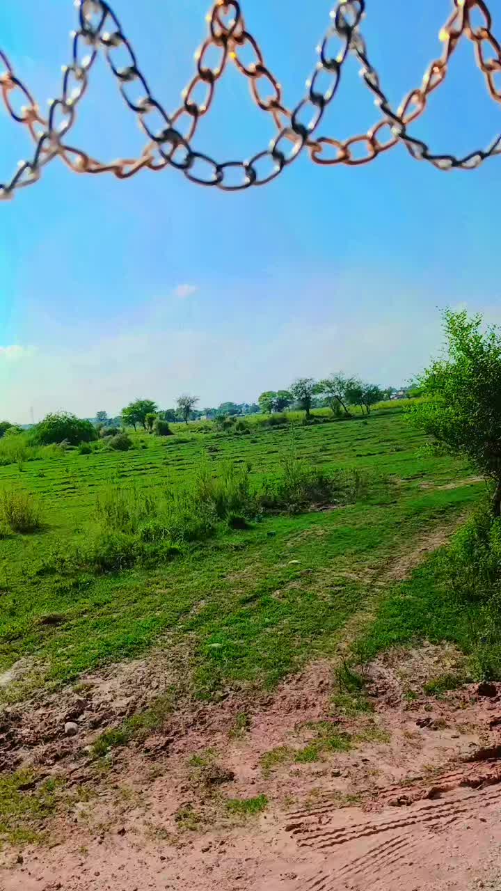 @✨️شیری شیخ 😎