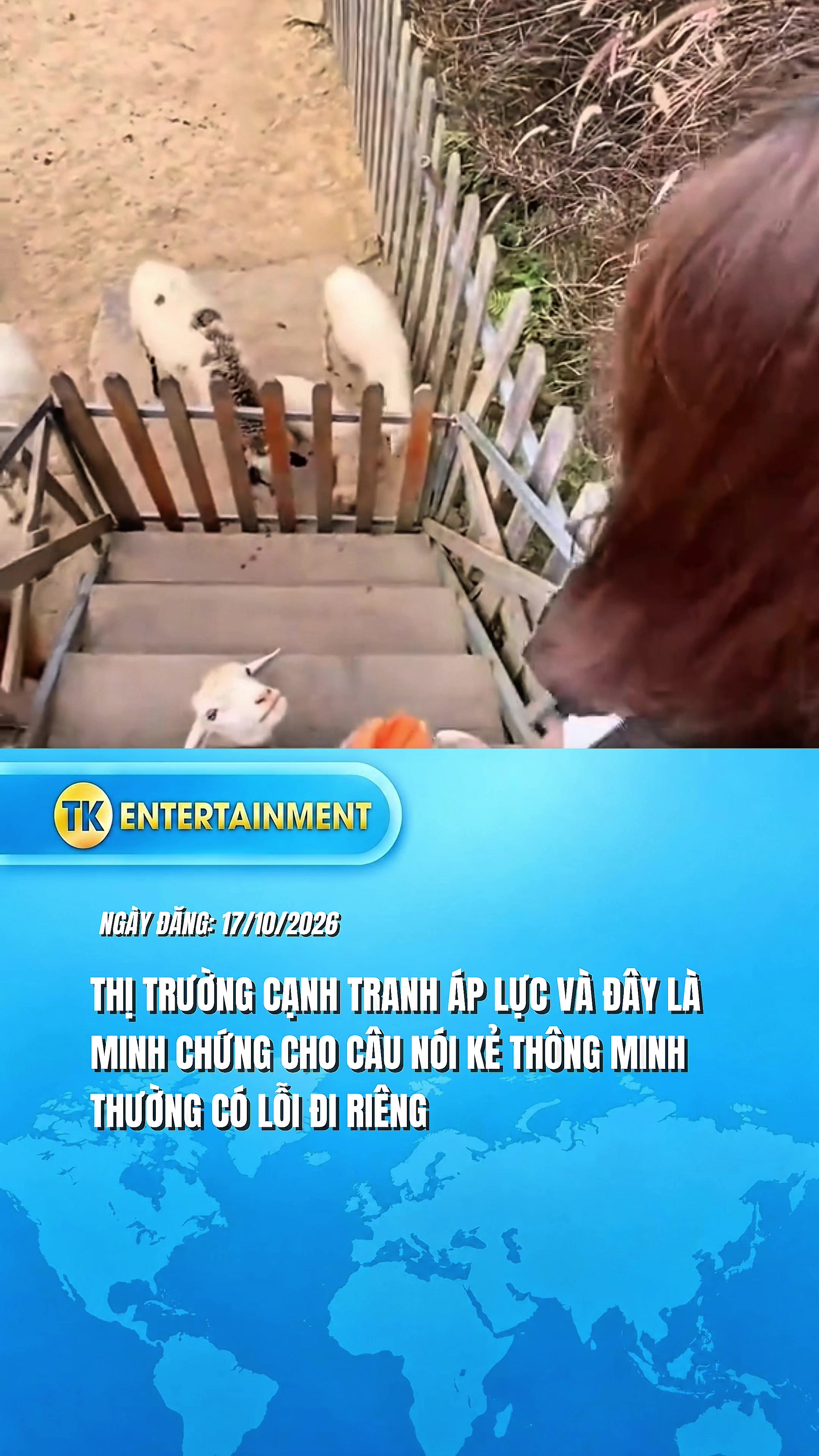 @TK Entertainment