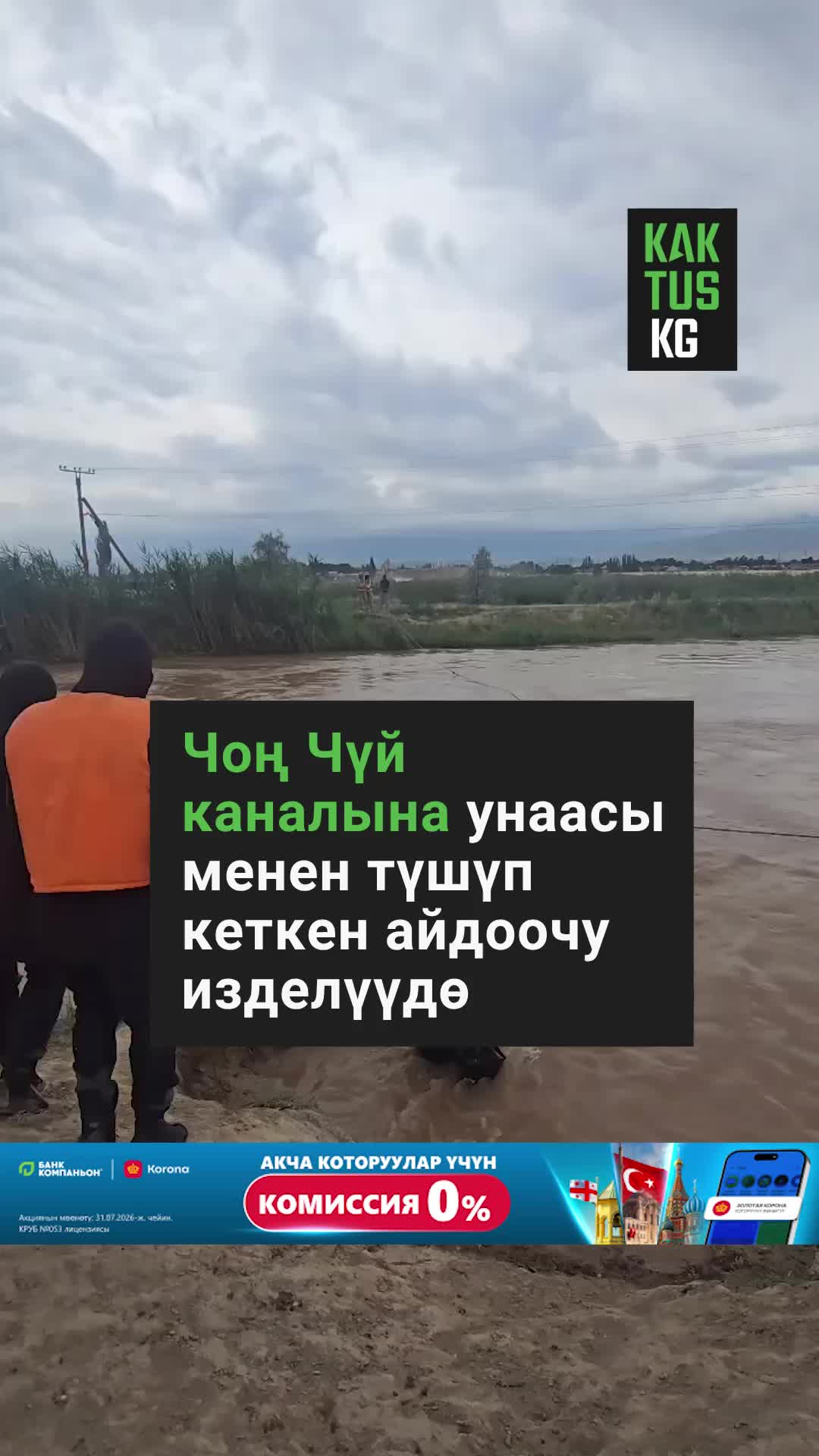 @Kaktus KG