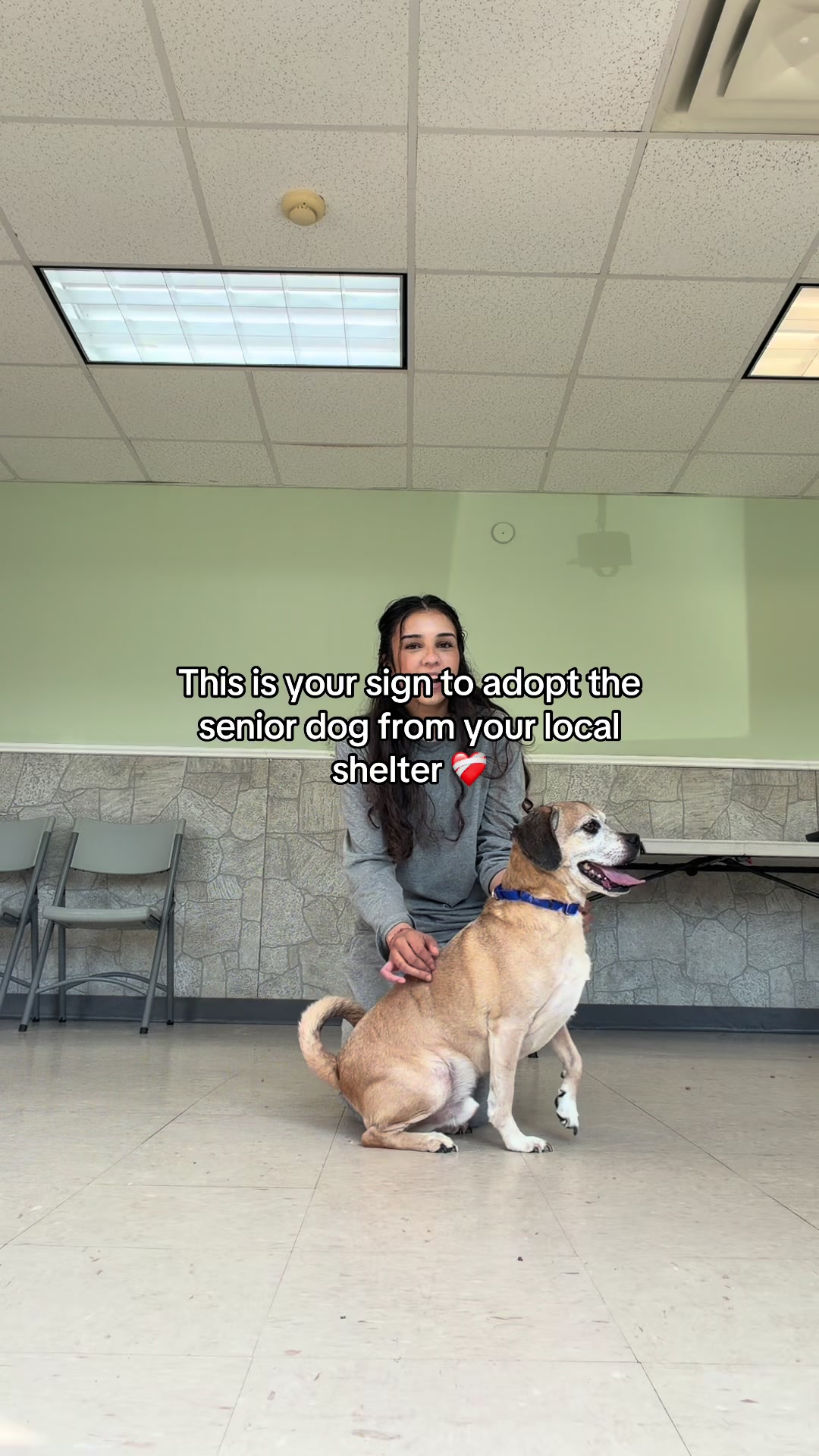 @myTinypurpose