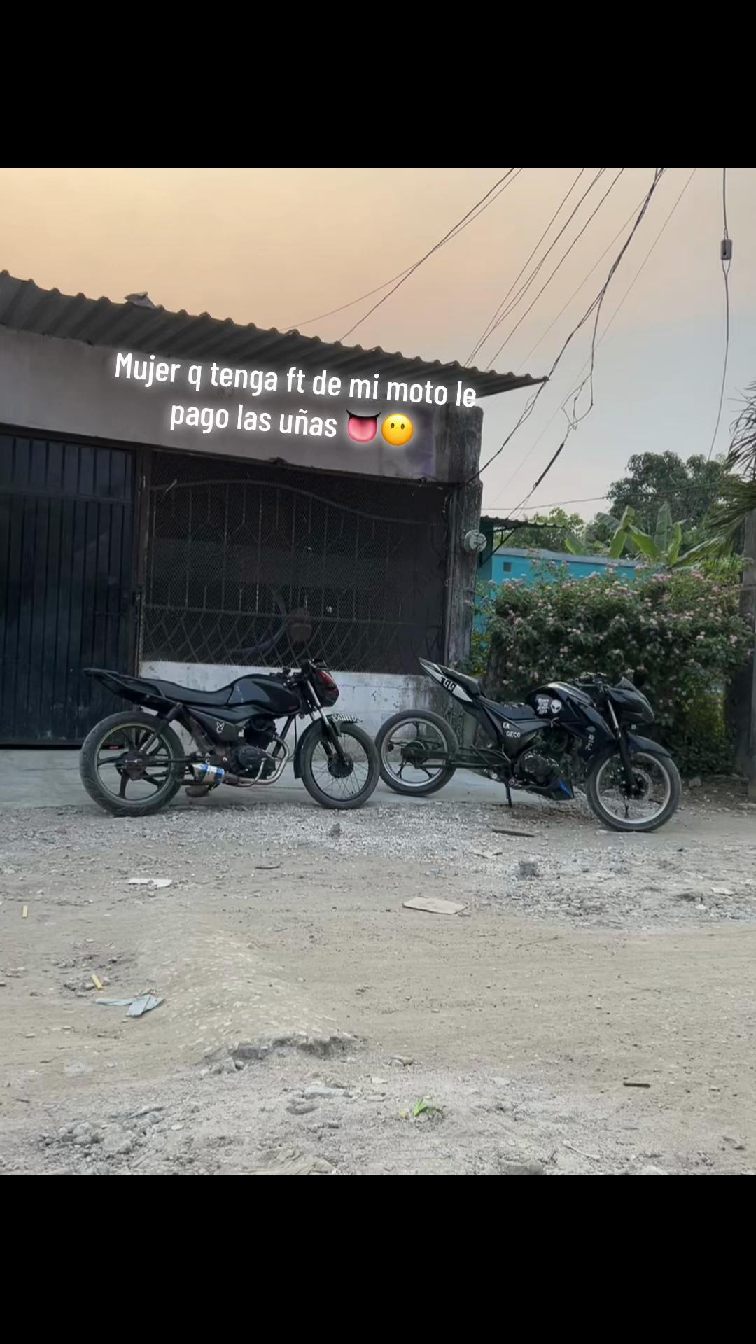 @geco🦎👽
