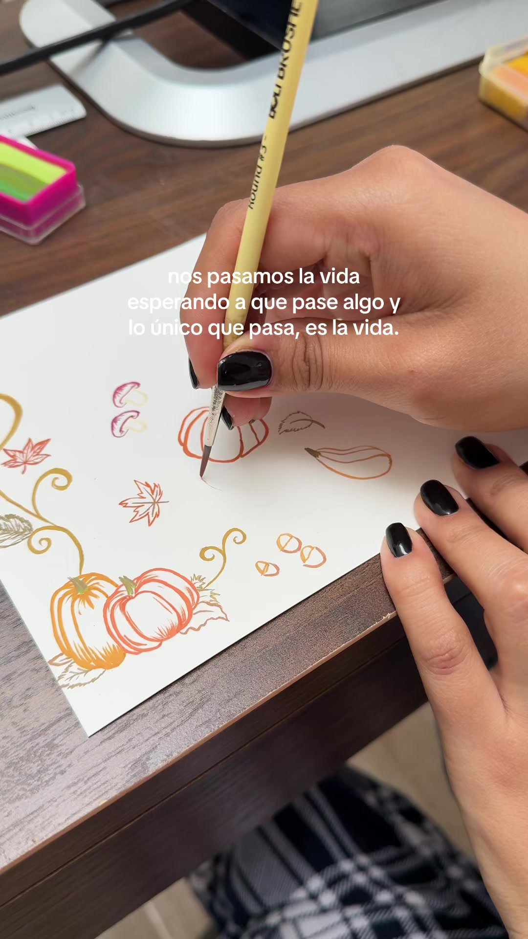 @fernandaauri