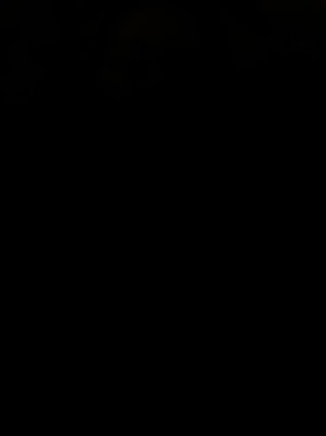 @Elegancia Fotográfica