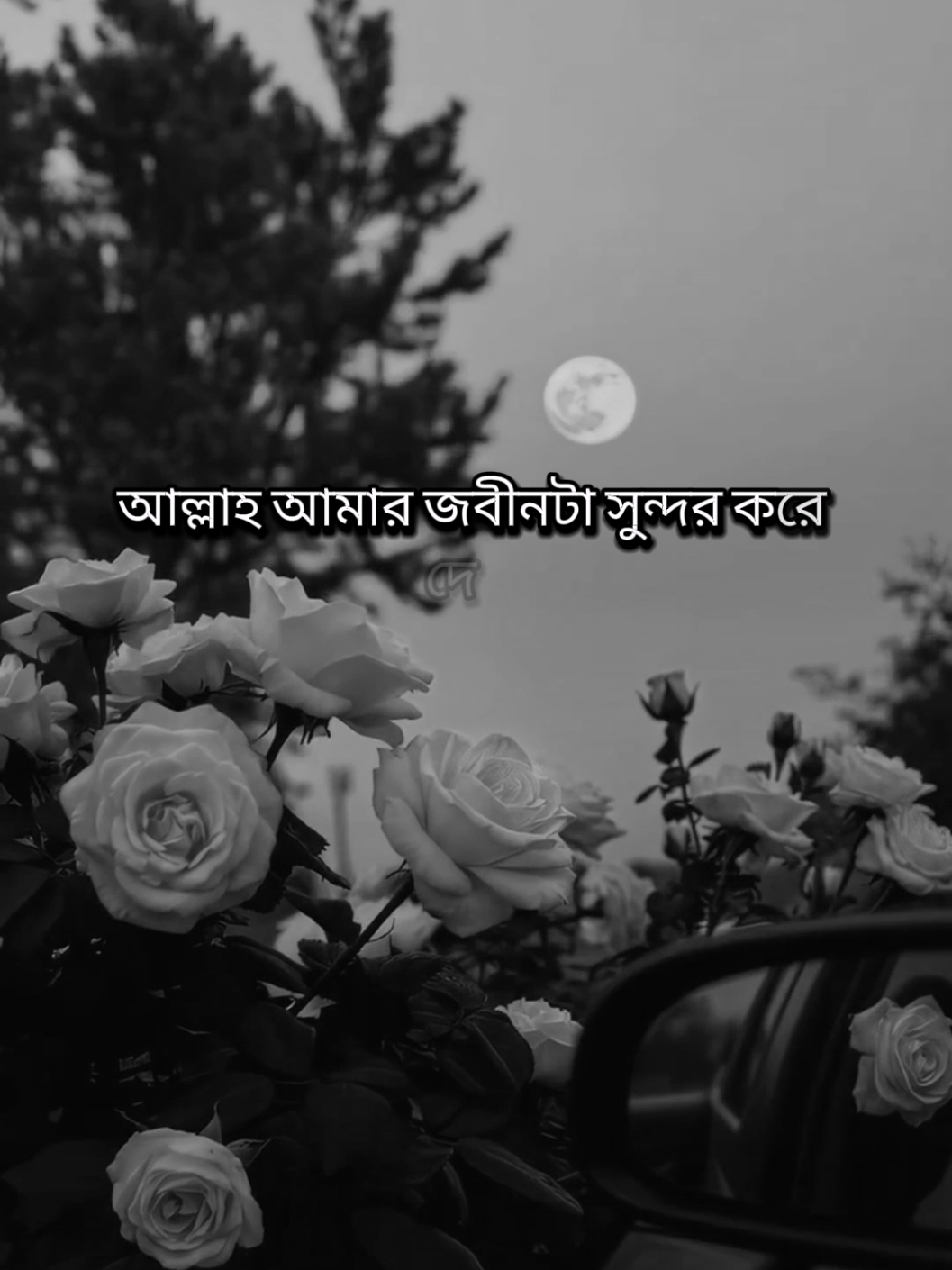 @𝑹𝒂𝒋𝒐𝒏 𝑨𝒉𝒎𝒆𝒅💫🍁