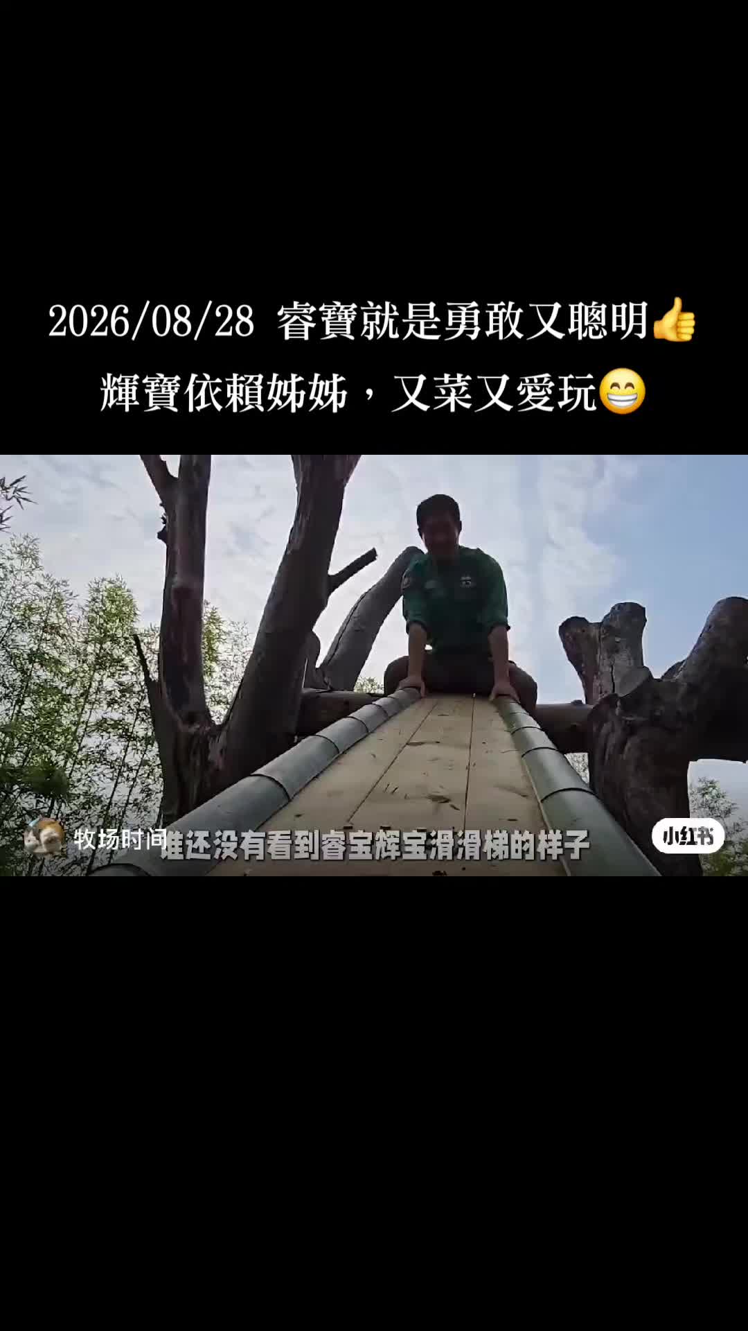 @福寶需要愛的抱抱