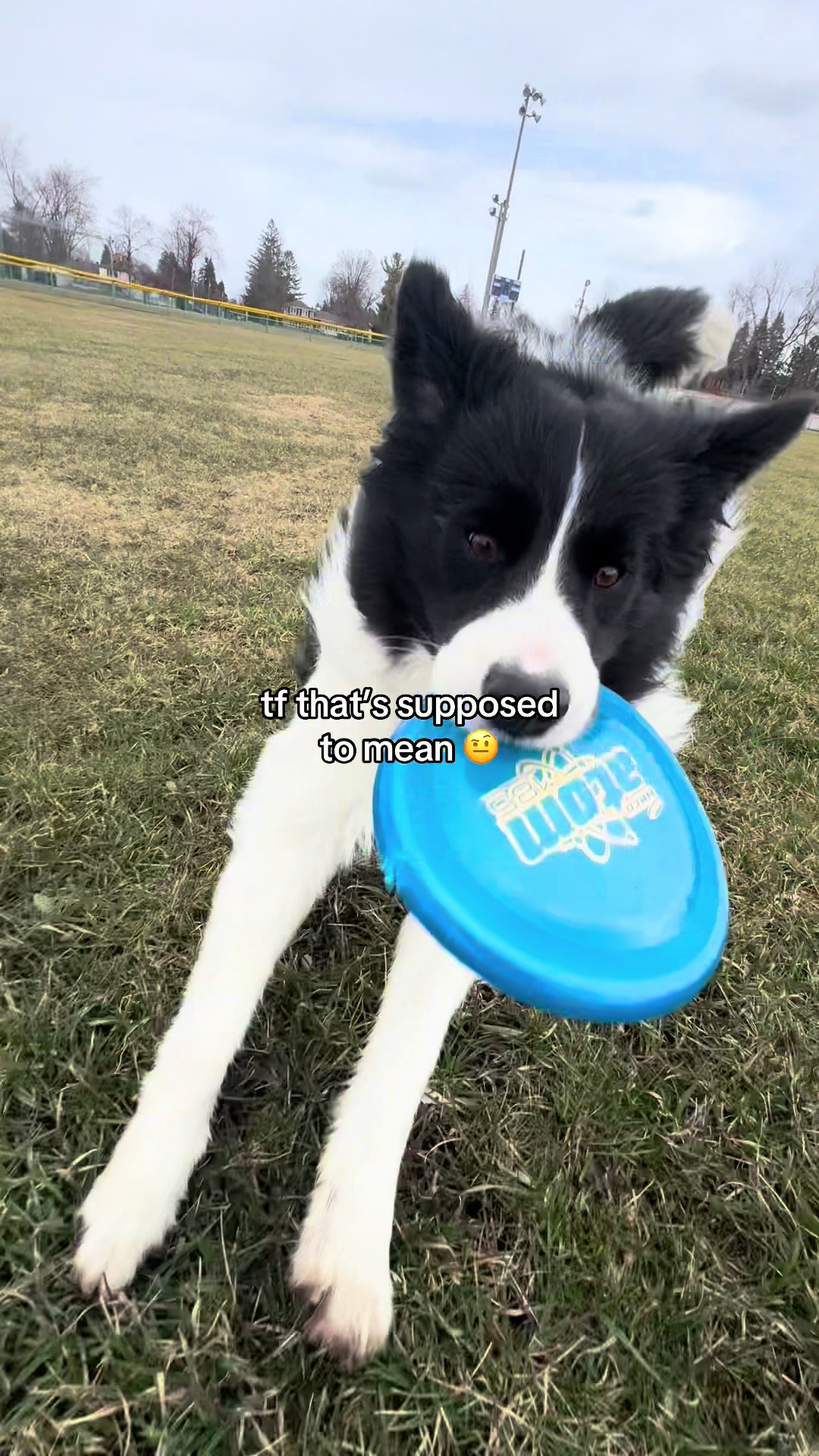 @whereborderswander