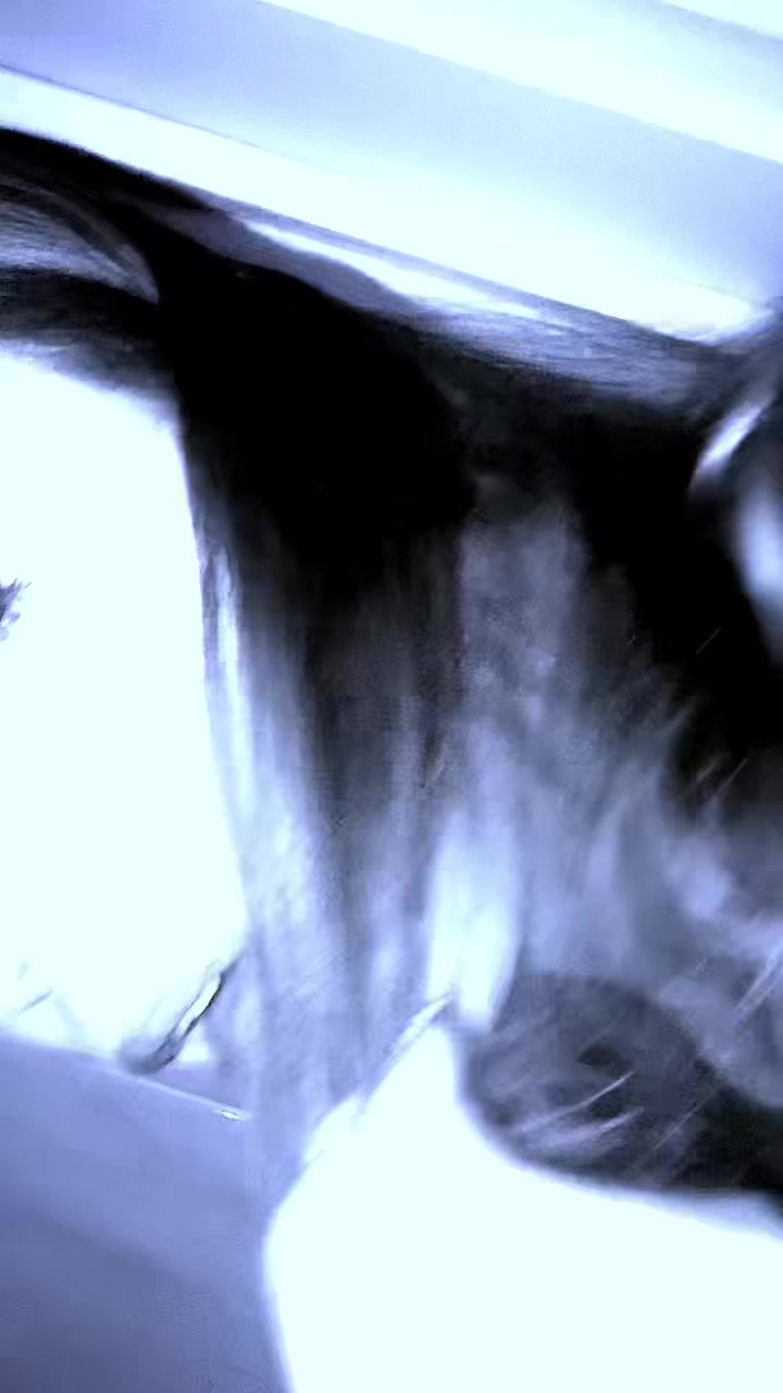 @ТГК: ALIEN POLLY это я💘