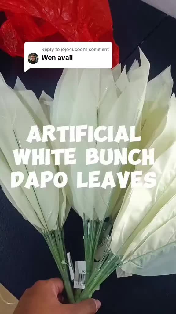 @Dreamer🧿🍀