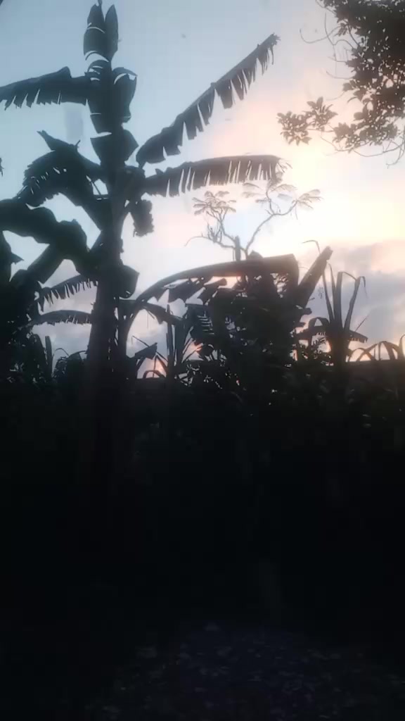 @🤘alexa🤘