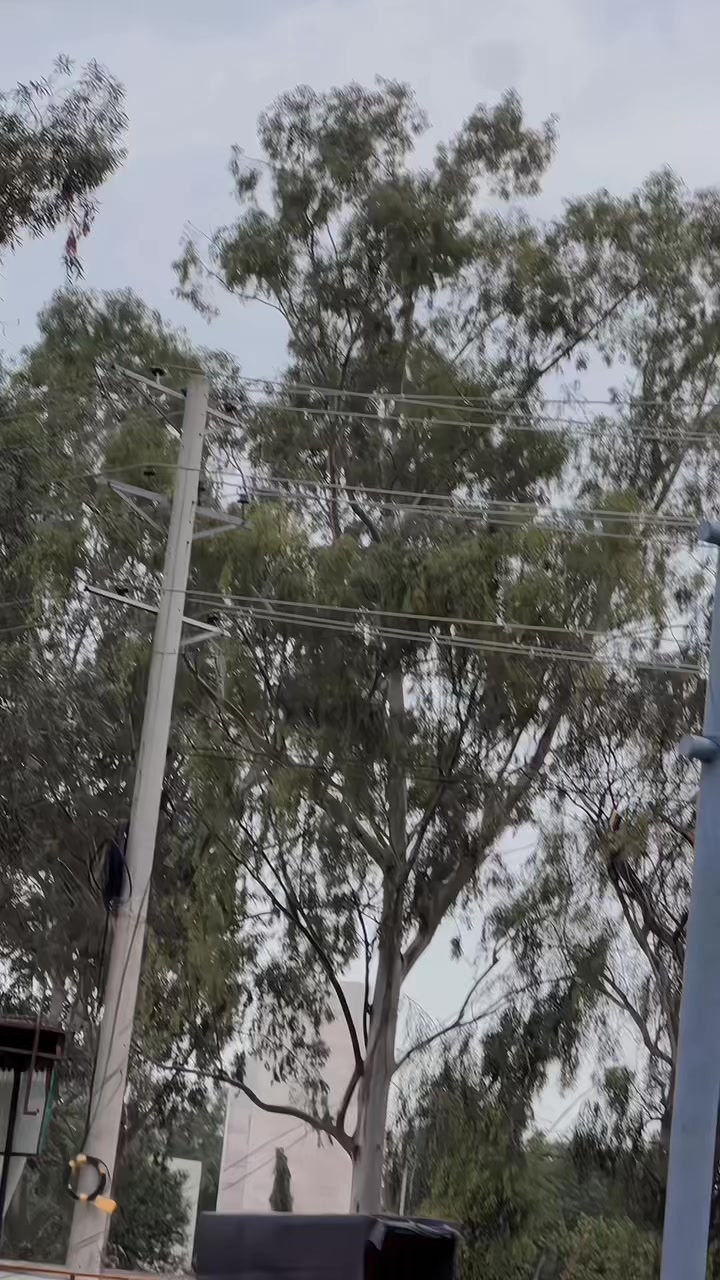 @🔥⭐️حنان جٹ وہاڑی آلہ⭐️🔥