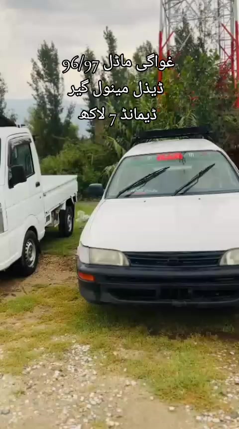 @ncpcarlover1