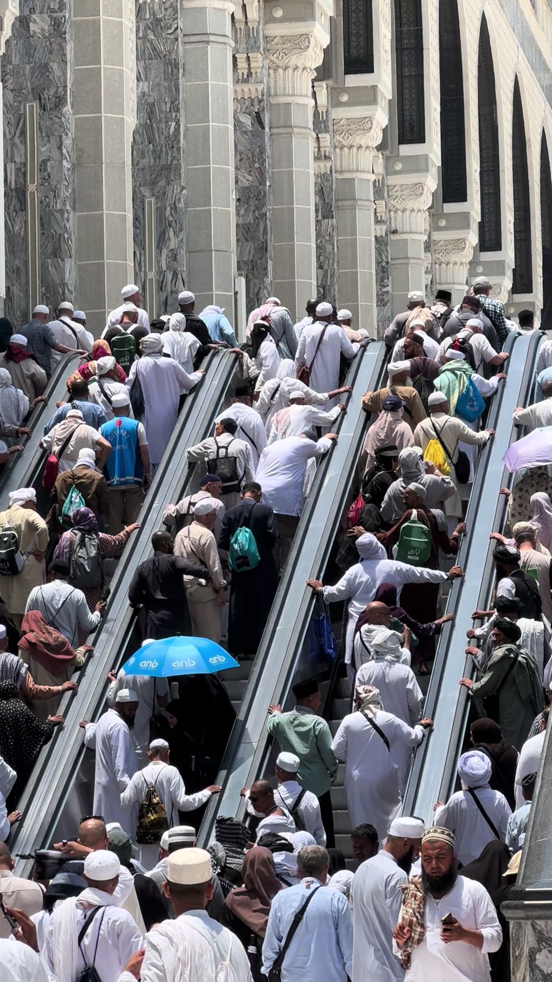 @طيوف الحرم