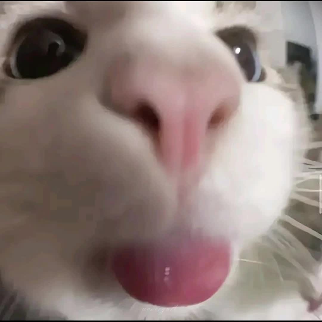 @☆