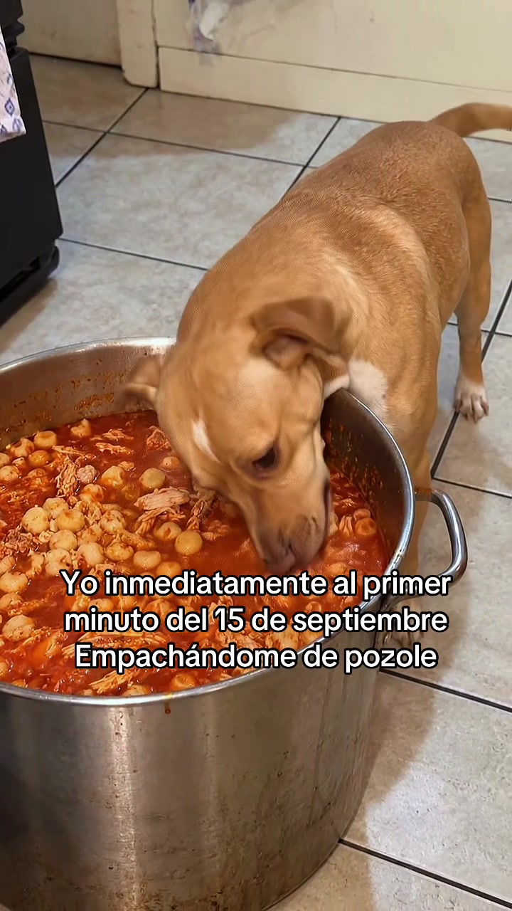 @Javier Villegas