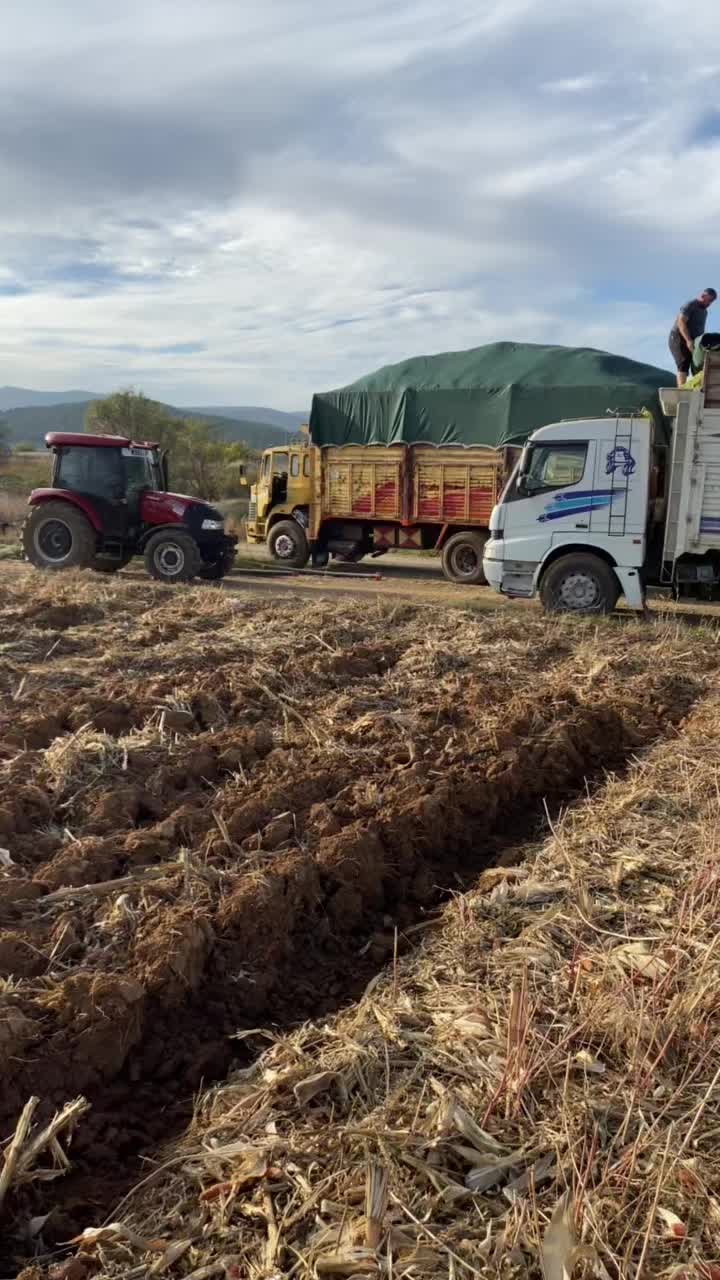 @Murat Cankardaş