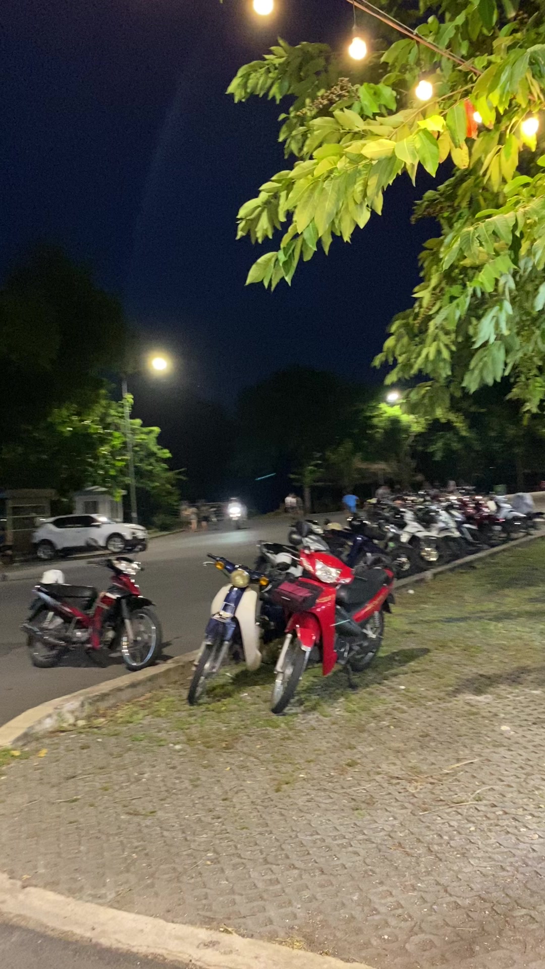 @Bích Trâm