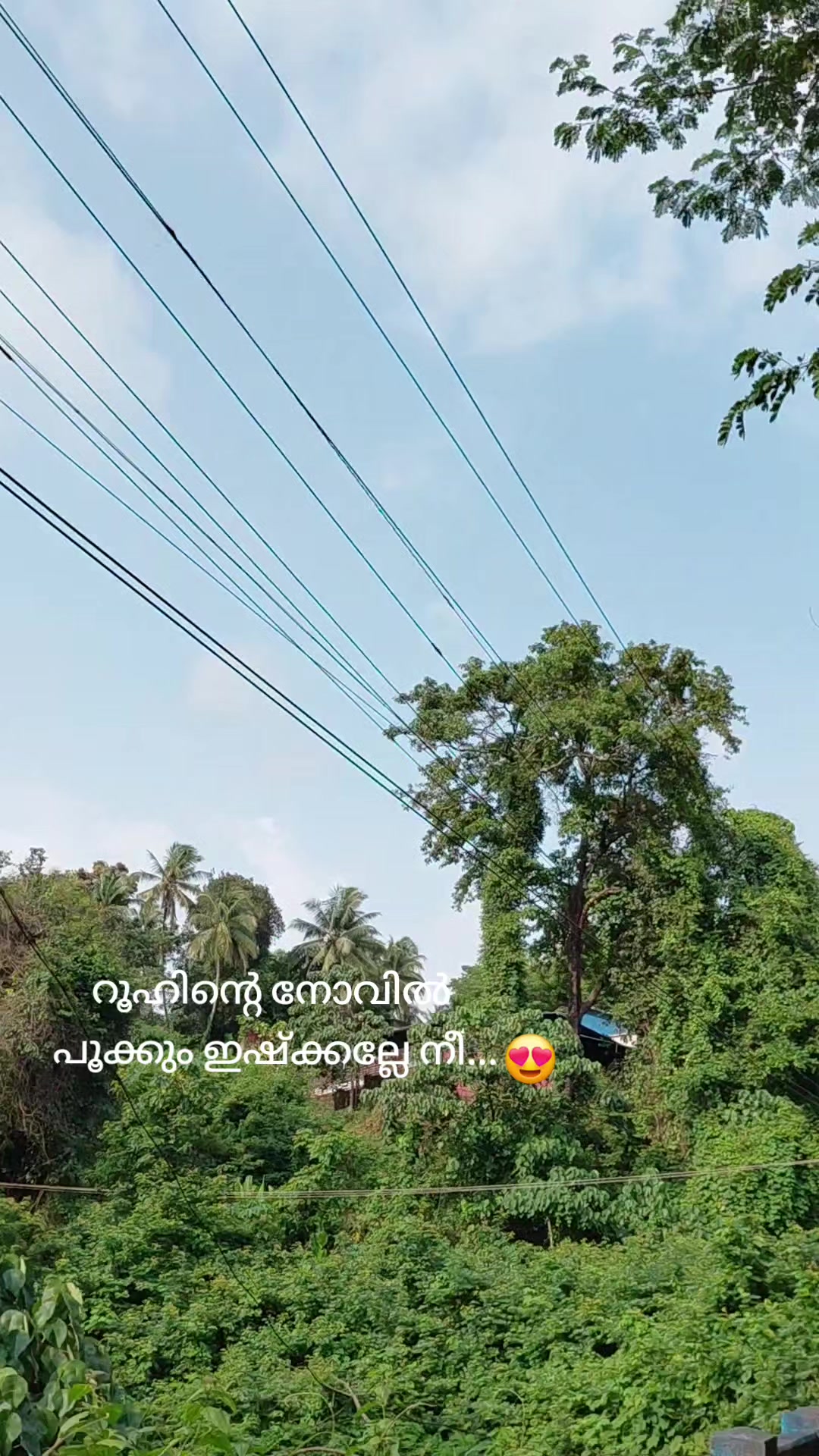 @♥️🤍🕊️ഫാത്തി🕊️🤍♥️