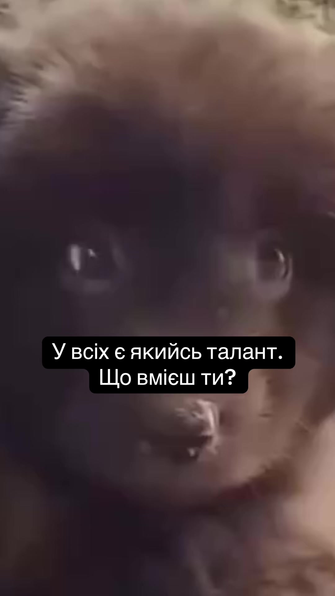 @๐ฟ๐๐๐๐