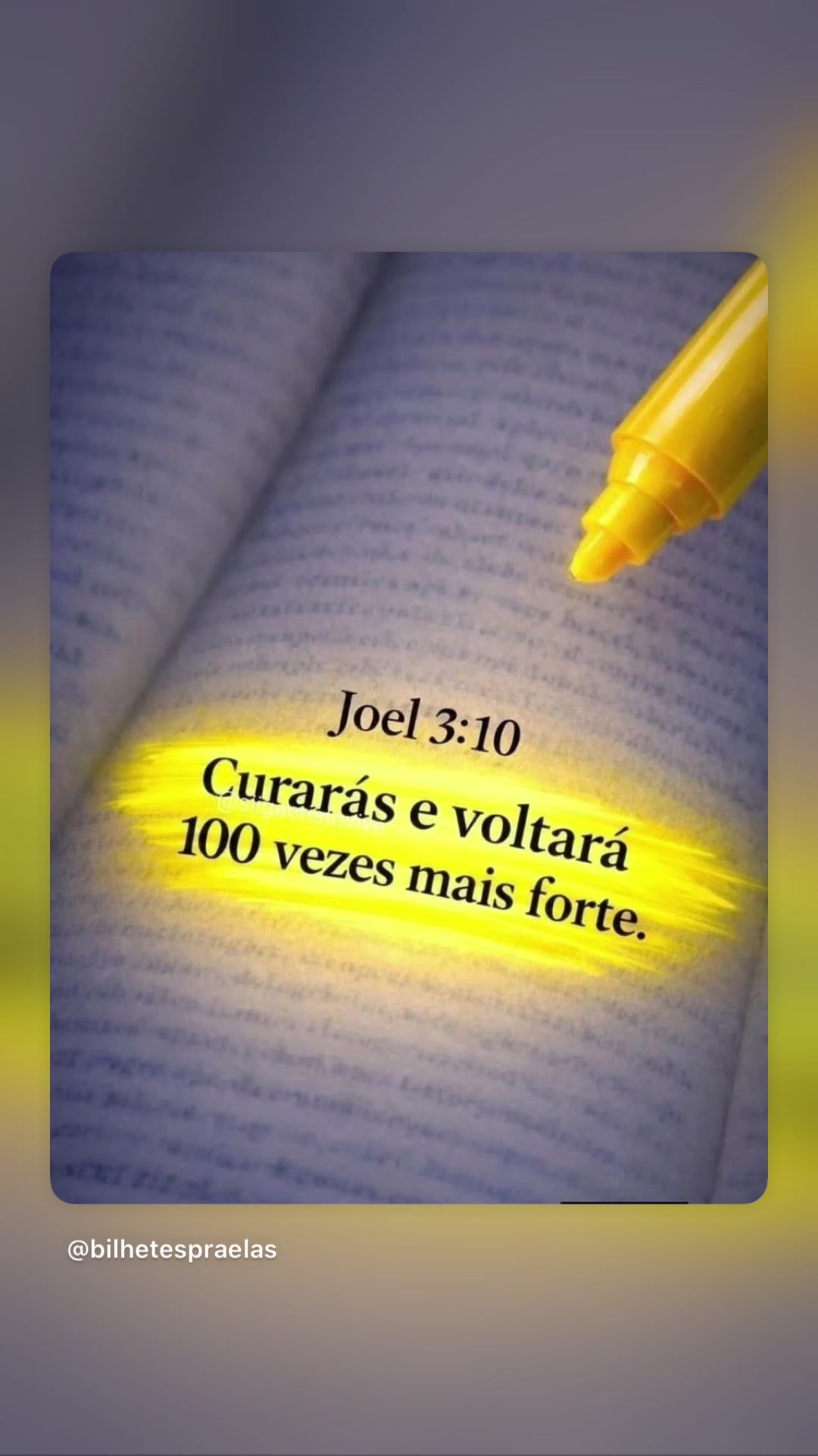 @andrea