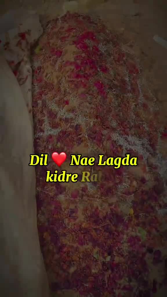 @Raja Nomi 👑