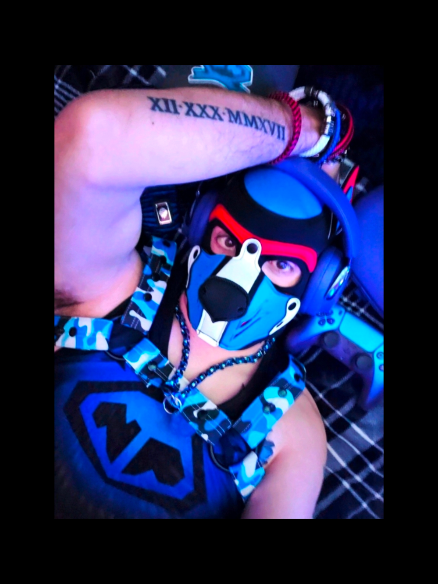 @🐾💙PupBoltBlue 💙🐾