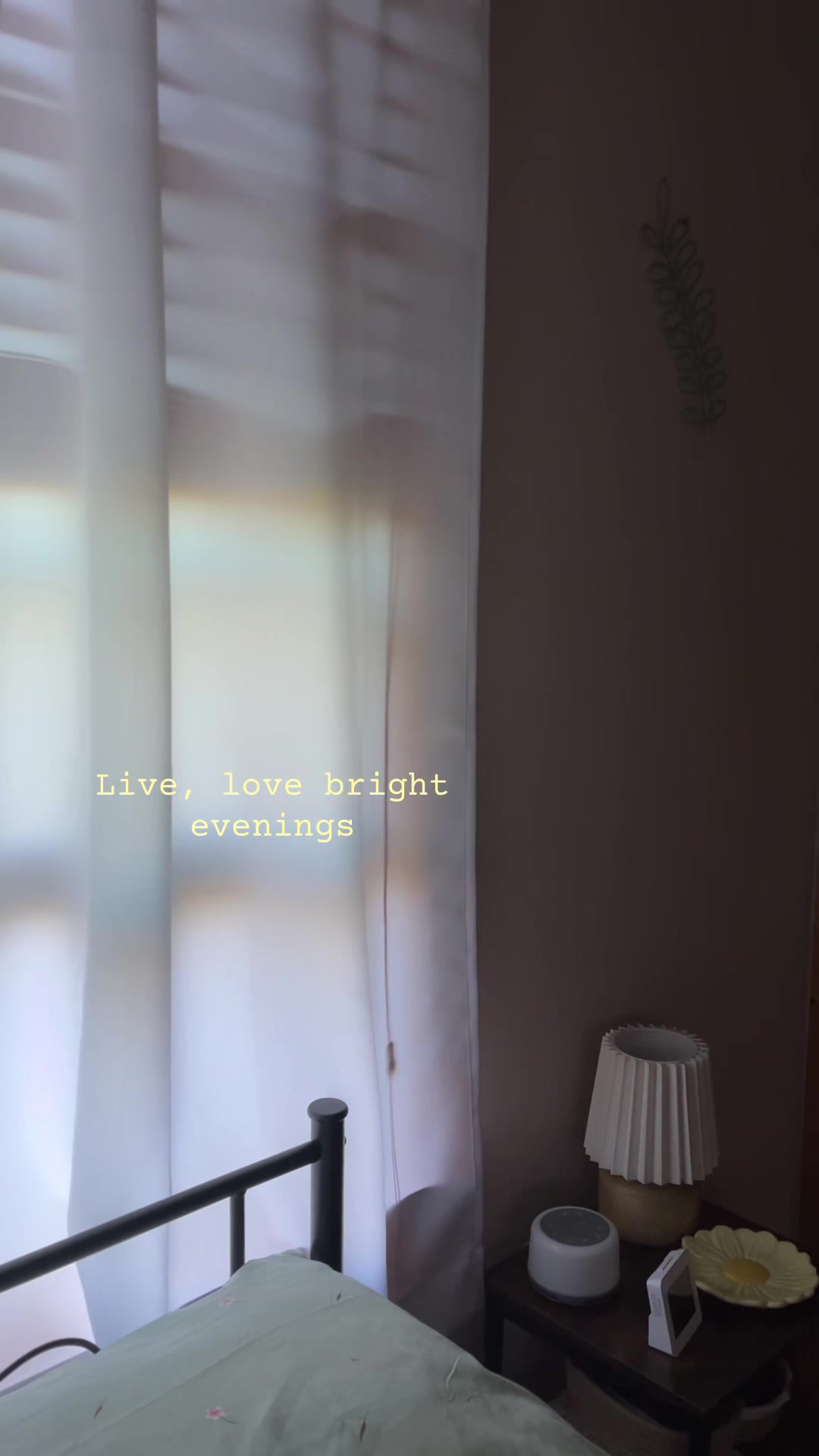 @˖ . ݁𝜗𝜚. ݁₊