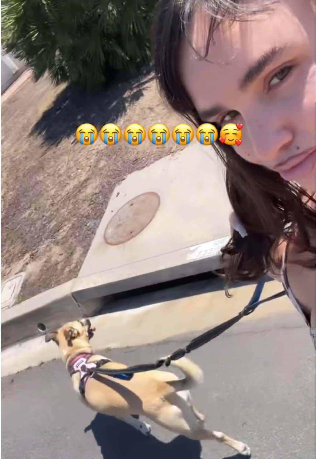 @soymami2000