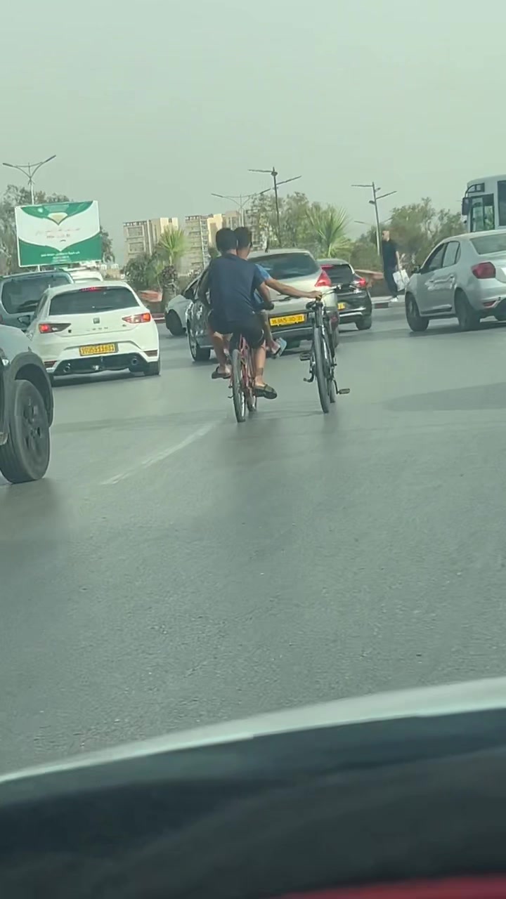 @Sipinico🦑