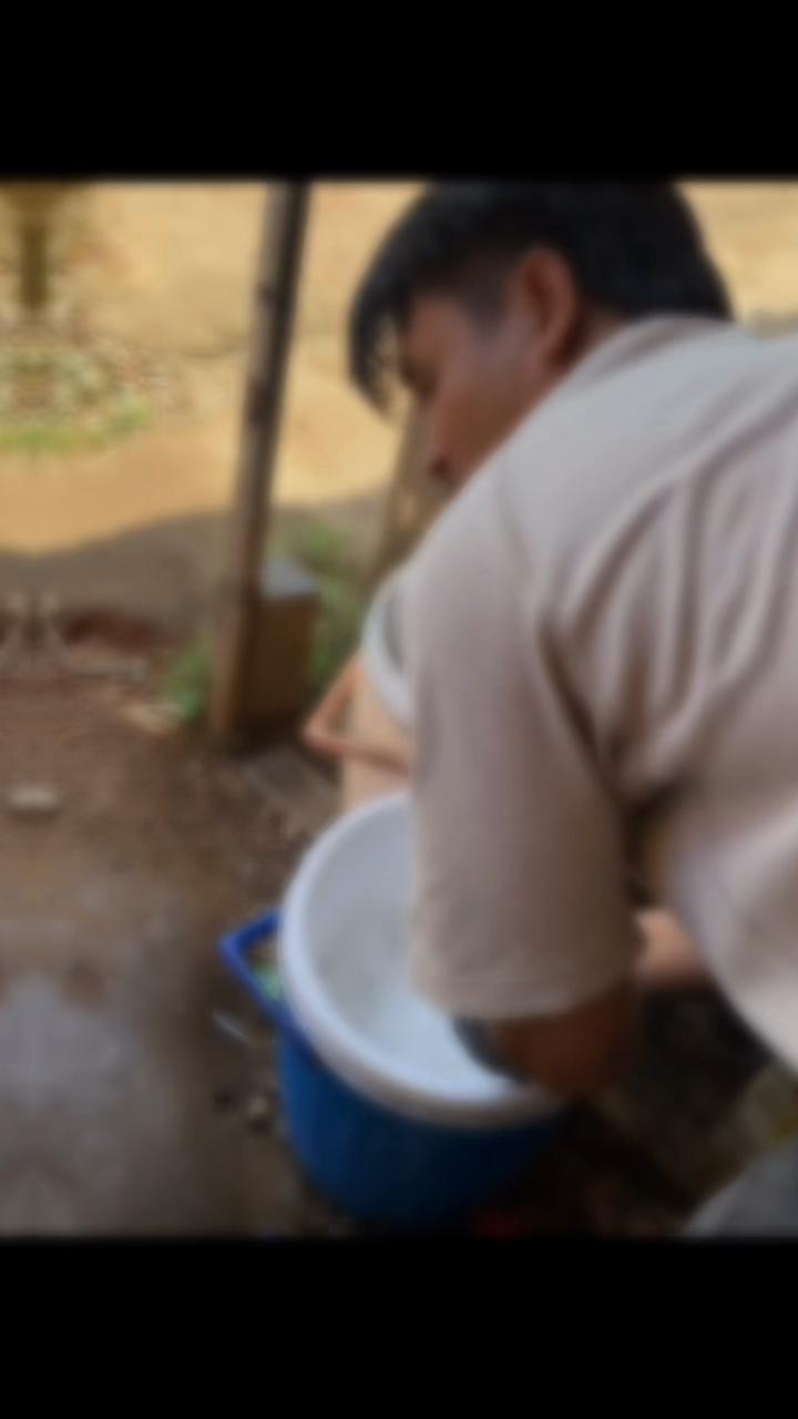 @Ratu Jajak Sandai (KalBar)