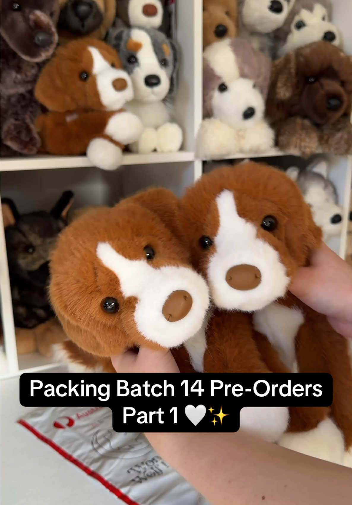 @Wonder Wolf Plush