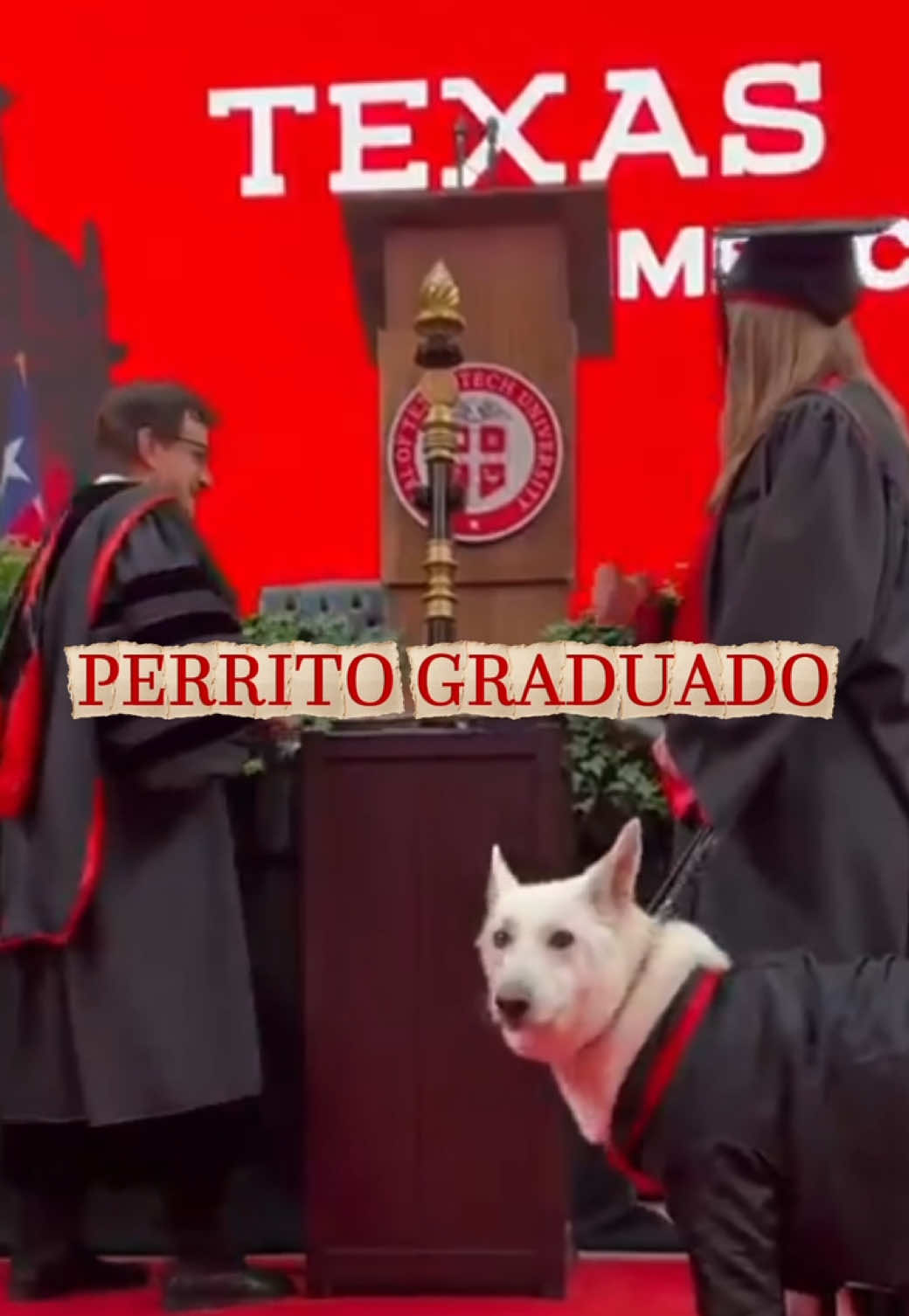 @Petlife