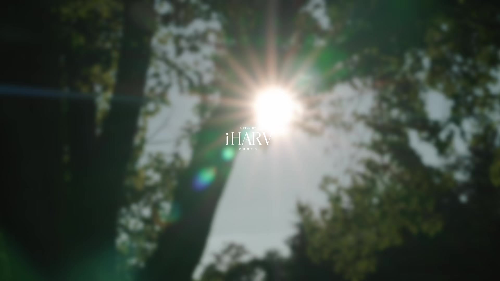 @iHarvPhoto