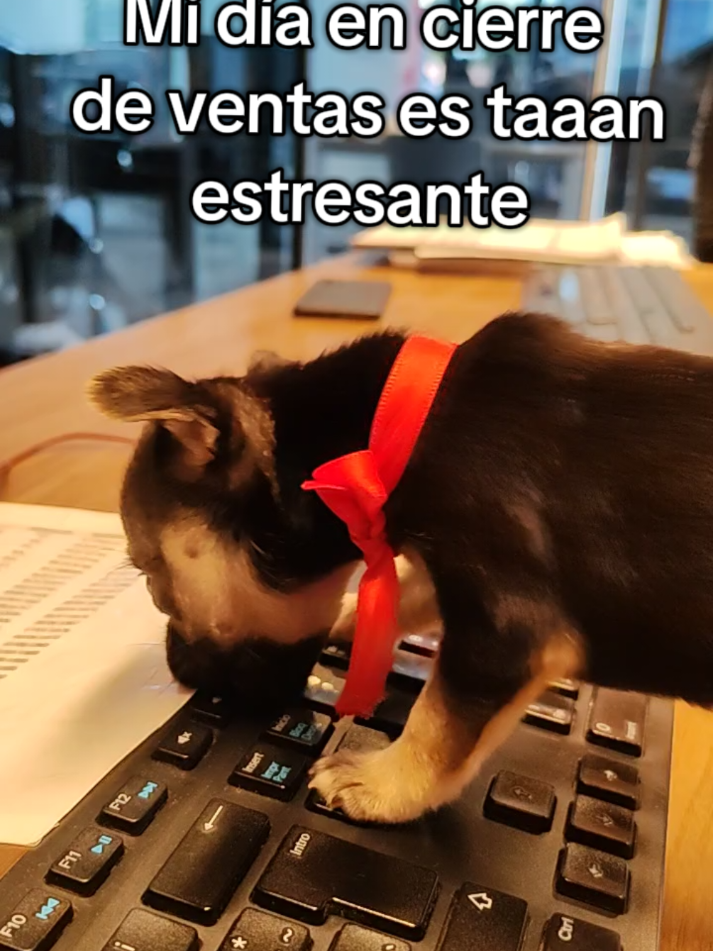 @Nissan Tecámac