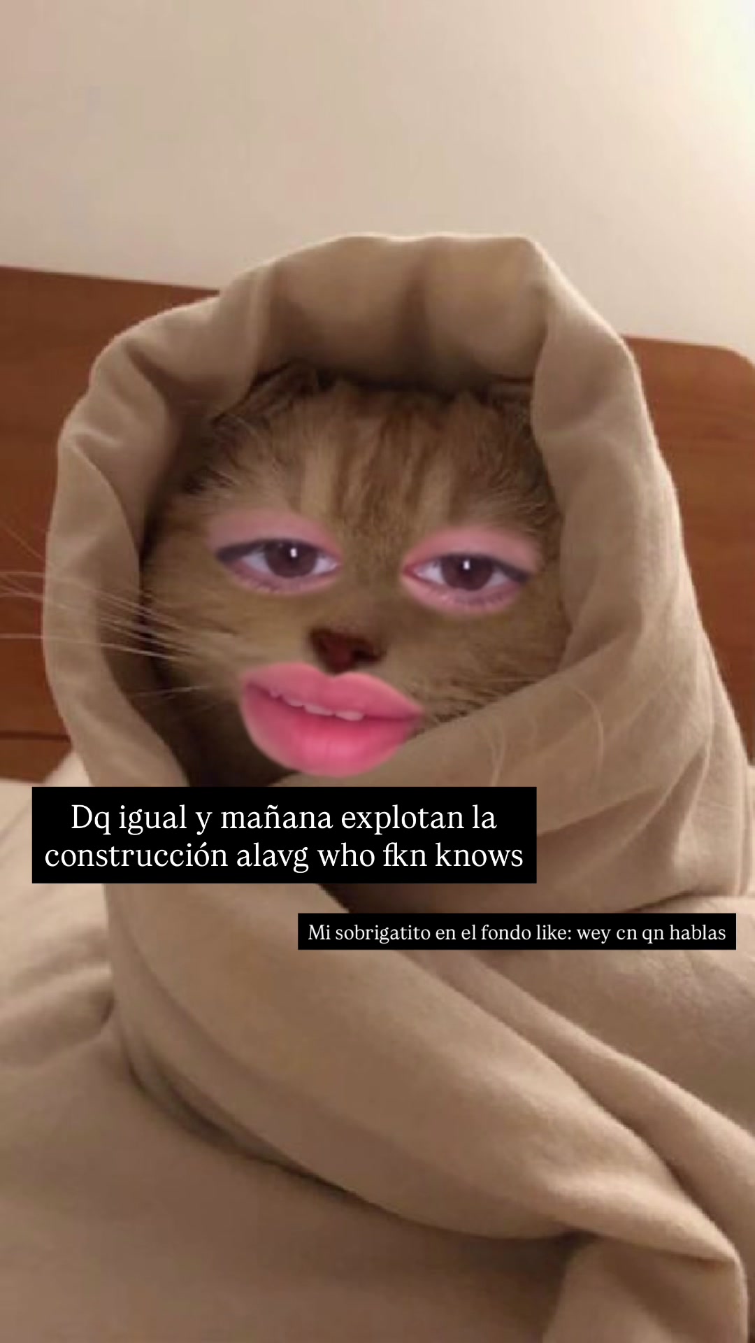 @paulinatalkss