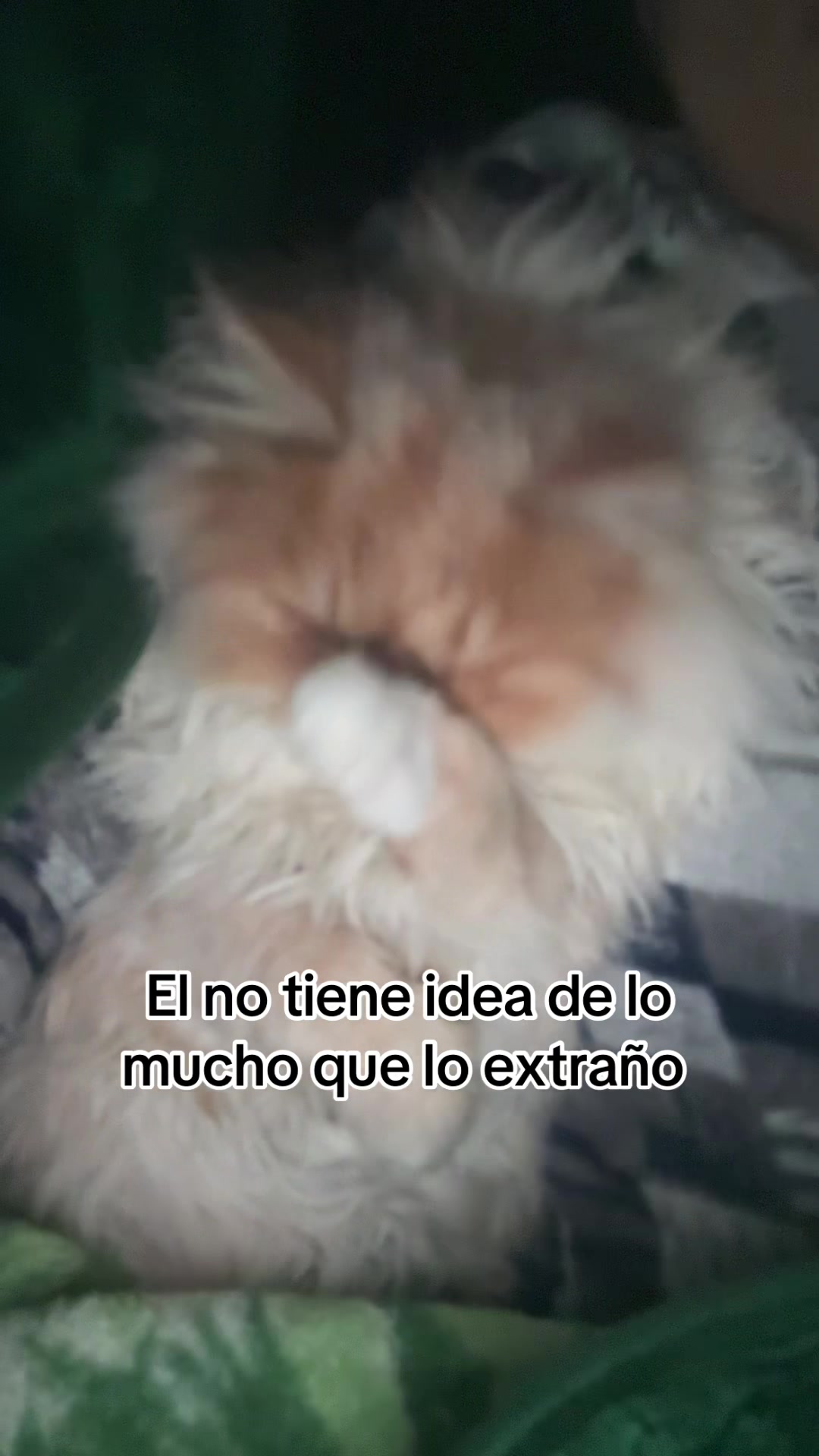 @edna.scobar