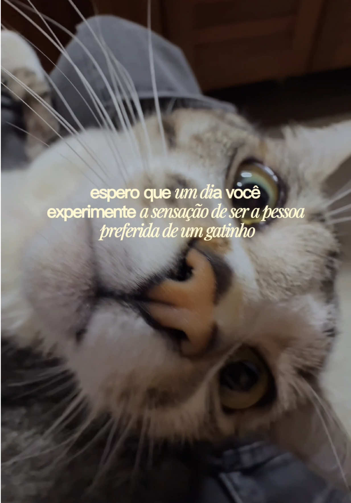 @Paola Lobo
