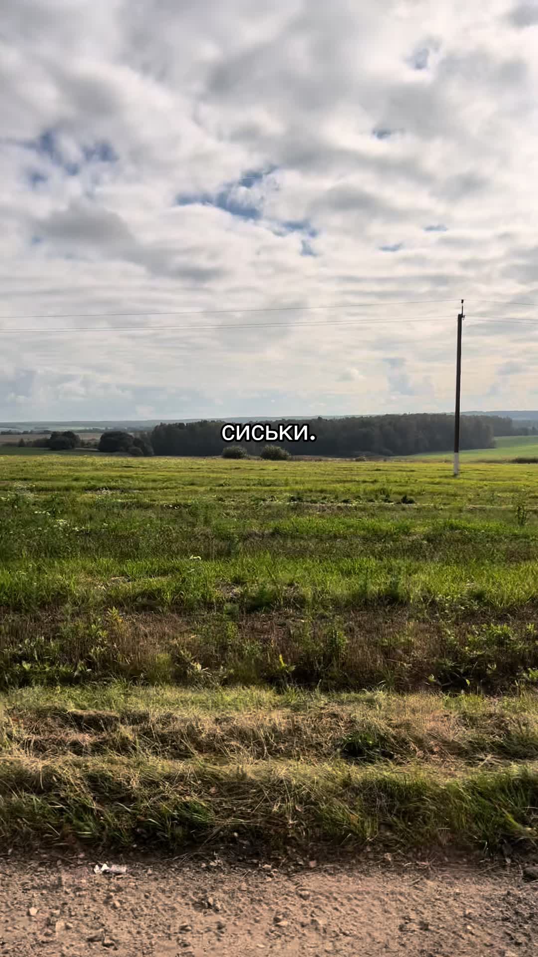 @excus3d1