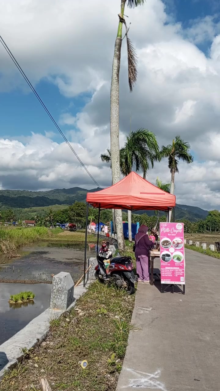 @mega mendung