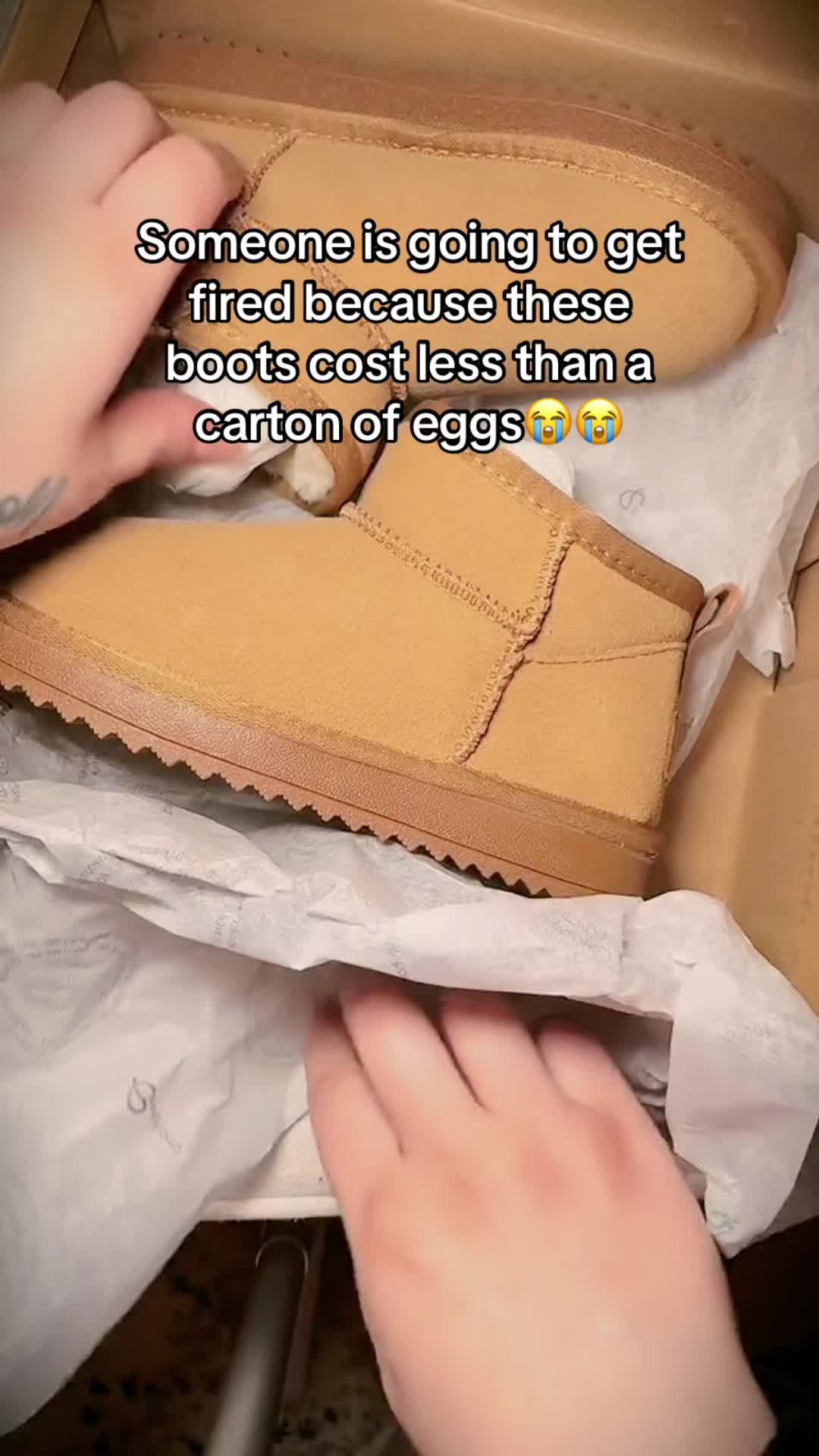 @dcsnjn
