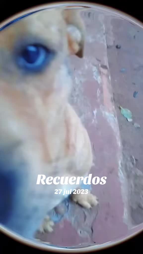 @JUAN RG🖤