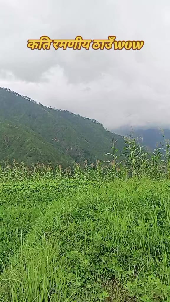 @Magar Rihan